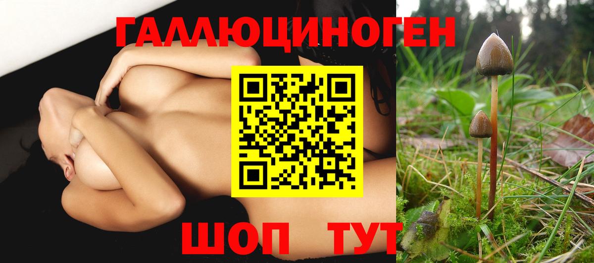 Галлюциногенные грибы ЛСД Строитель