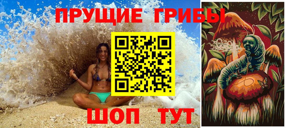 Псилоцибиновые грибы прущие грибы  Вход с VPN  Строитель  Псилоцибиновые грибы Magic Shrooms 